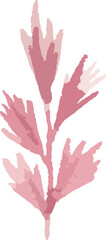 Obraz premium watercolor floral design hard drawn 