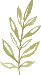 watercolor floral design hard drawn
