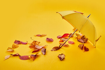 Yellow umbrella on the ground by the air and autumn leaves.