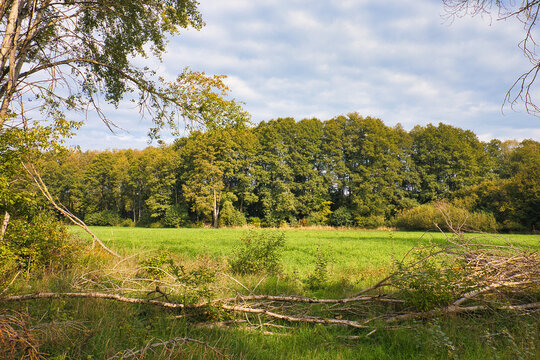 Weide mit Weidezaun, Weide am Gorinsee (Wandlitz), Landkreis Barnim, Land Brandenburg, Deutschland	
