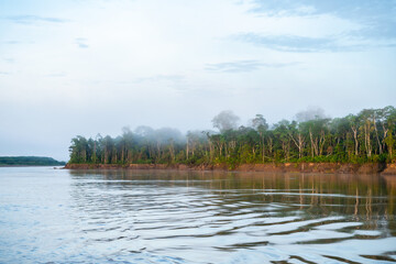 riverbank view of peruvian amazonian jungle