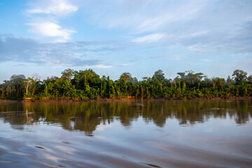 Obraz premium riverbank view of peruvian amazonian jungle