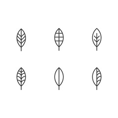 eco set of black line leaf icons on white background