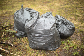 Bags of garbage on street. Black bags. Cleaning in yard.