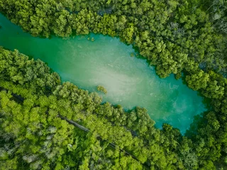 Selbstklebende Fototapete Waldfluss aerial drone view of river lake forest top down