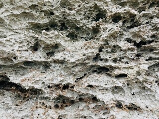ゴツゴツしたサンゴ岩の岩肌