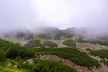 Photo of rocky mountains in the Polish Tatras with green grass and moss