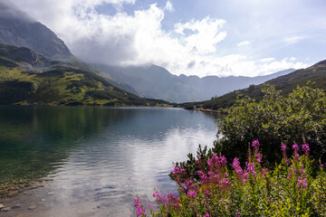 Beautiful landscape between Polish mountains with a small mountain lake with purple pink flowers...