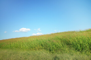 川の堤防と青空