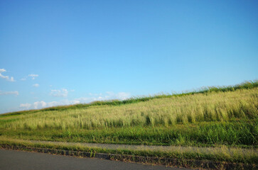 川の堤防と青空