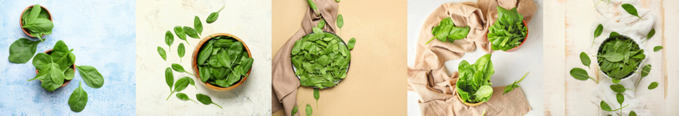 Collage with many fresh spinach on color background, top view