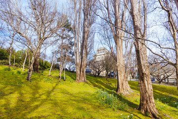 Cascade Gardens in Hobart Australia