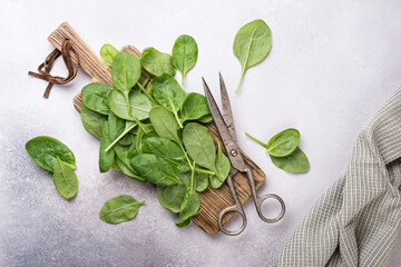 Fresh spinach leaves as ingredient for helthy food