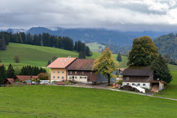 Fototapeta na wymiar Allgäu bei Stiefenhofen