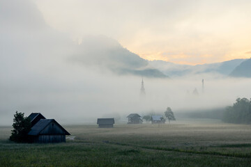 morning fog in river valley Sava Bohinjka, Slovenia
