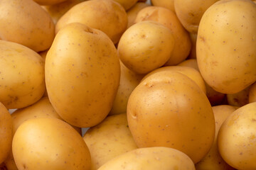 A group of fresh tasty potato as  background.
