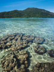 Scenic view of Sunset Beach, Koh Lipe Island. Crystal clear shallow water with coral reef transparent against summer blue sky and Koh Adang Island background. Satun, Thailand.
