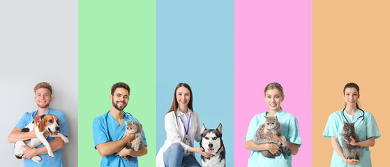Set of veterinarians with pets on color background