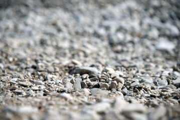 pebbles on the beach