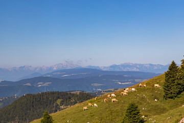 summer landscape near Monte Grappa, Northern Italy