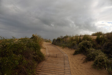 chemin d’accès au bord de mer par la dune