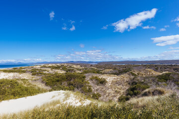 Peron Dunes in Akaroa Tasmania Australia