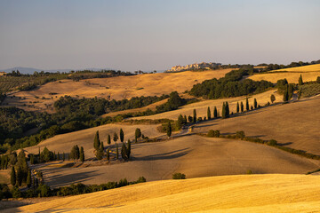 Fototapeta na wymiar Cipressi di Monticchielo, Typical Tuscan landscape near Montepulciano, Italy
