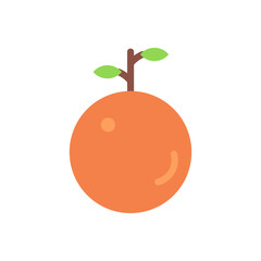Orange Fruits Design Very Cool