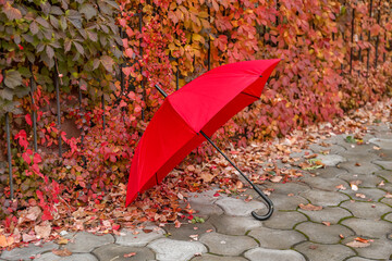 Stylish bright umbrella outdoors