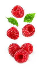 Levitation raspberries with leaves isolated on white background