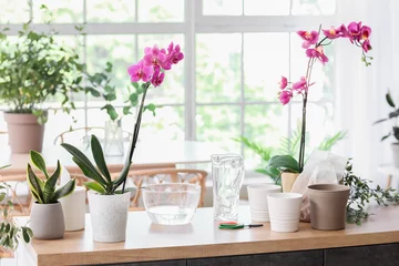 Rolgordijnen Beautiful orchid flowers and pots on table in room © Pixel-Shot