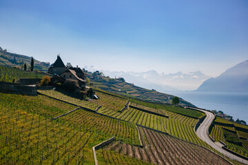 Vineyards in the Lavaux region, Switzerland