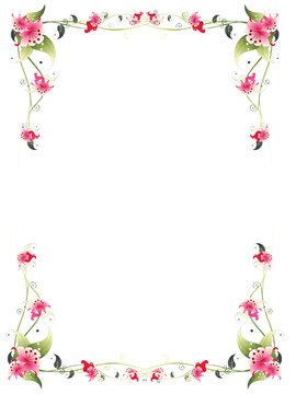 frame with flowers 