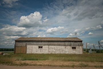Dairy farm in summer. There is artistic noise.