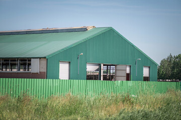 Dairy farm in summer. There is artistic noise.