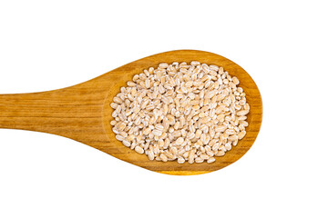 Top view or flat lay group of dry pearl barley in wooden spoon isolated on white background with clipping path.