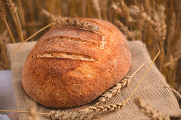 Fresh baked bread on ears of wheat background, close-up, copy space. Loaf of homemade bread. Grain harvest, agriculture concept.