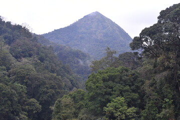 Mountain misty view at Green Route Railway Trek, Western Ghats mountain range, Karnataka, India