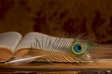Open book and peacock feather on wooden table
