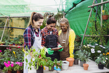 Multiracial gardeners working together in plants and flowers garden shop