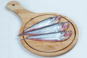 Fresh water Pabda fish of Southeast Asia isolated on white background.