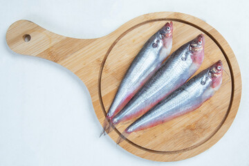 Fresh water Pabda fish of Southeast Asia isolated on white background.