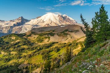 Fototapeta premium Mount Ranier with Flowers