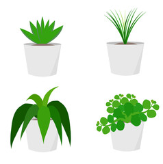 Fototapeta na wymiar set of plants 