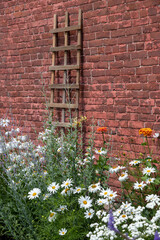 flowers and trellis on a brick wall