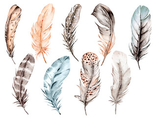 Bird feather set, watercolor boho illustration. Hand drawn. Suitable for poster design, print, sublimation. © Larisa