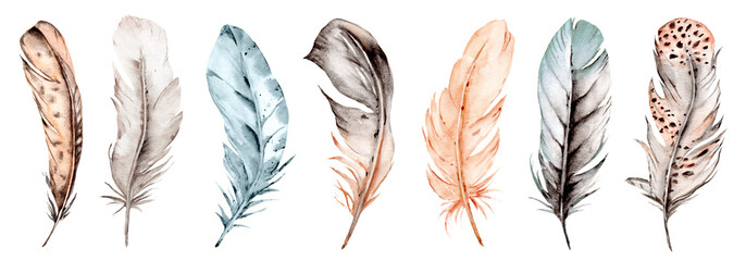 Bird feather set, watercolor boho illustration. Hand drawn. Suitable for poster design, print, sublimation. © Larisa