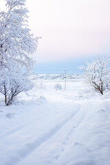 Fototapeta na wymiar Vertical winter landscape. Path between trees covered with snow, village houses in the background