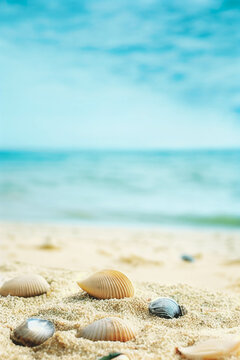 Sandy beach with shells, ocean and sky, product display mockup, 3d render