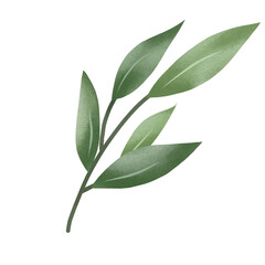 Watercolor green leaf branches or floral illustration for wedding stationery, greetings, background ornament